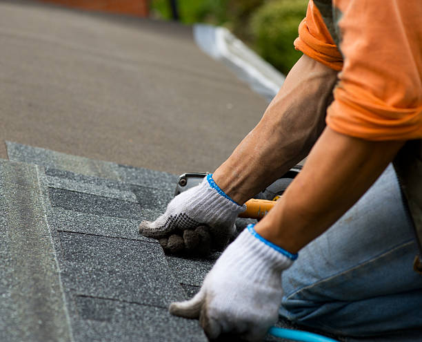 Best Local Roofing Companies  in Thompsonville, PA